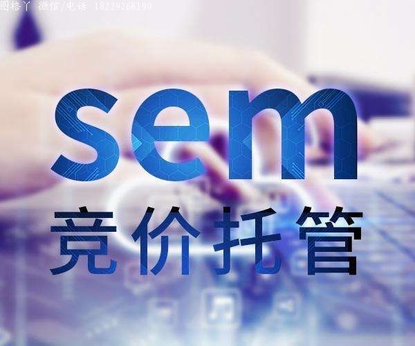 SEM代运营服务