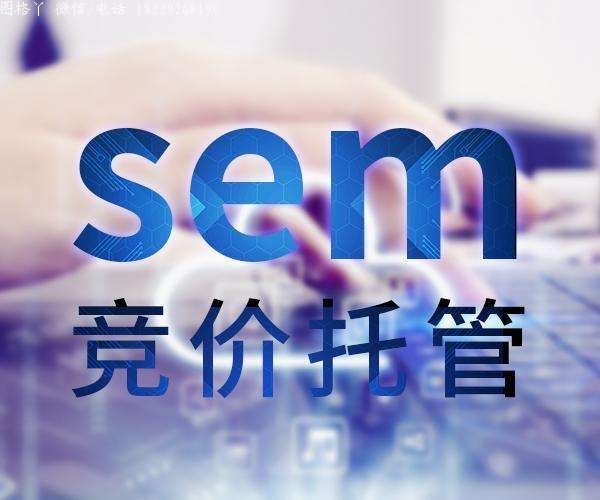 SEM代运营服务